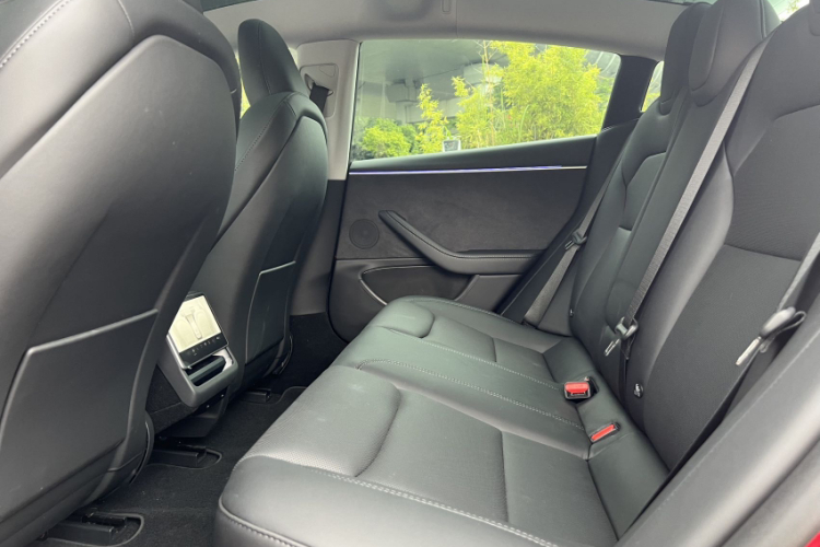 特斯拉 Model 3 2023款 长续航全轮驱动版局部细节9011