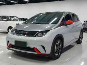 比亚迪 海豚 2021款 405km 时尚版