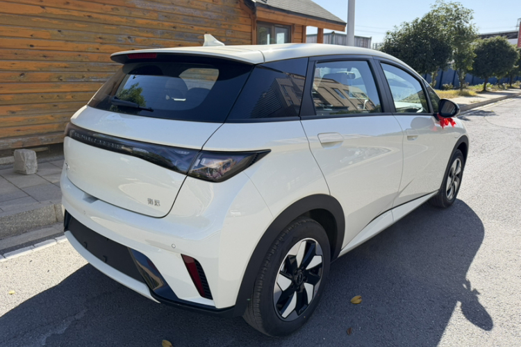 比亚迪 海豚 2025款 420km 自由版车身外观6002