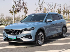 岚图汽车 岚图FREE 2023款 四驱超长续航增程版