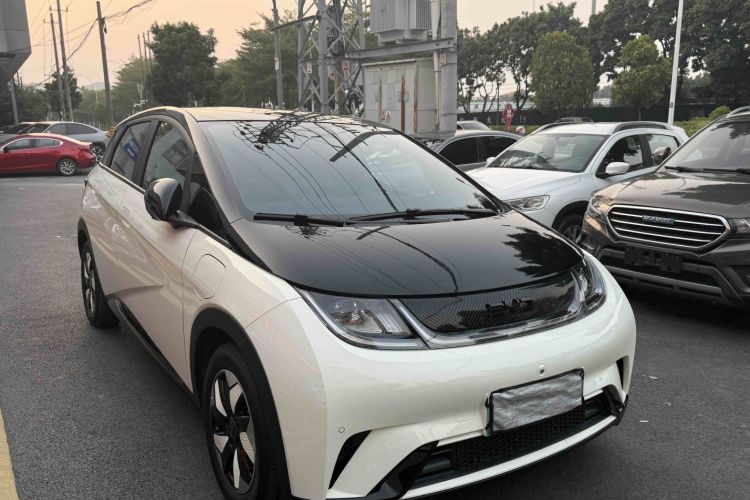 比亚迪 海豚 2024款 荣耀版 420km 时尚版车身外观6005