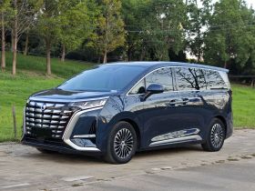 腾势D9 2024款 DM-i 980 四驱旗舰型