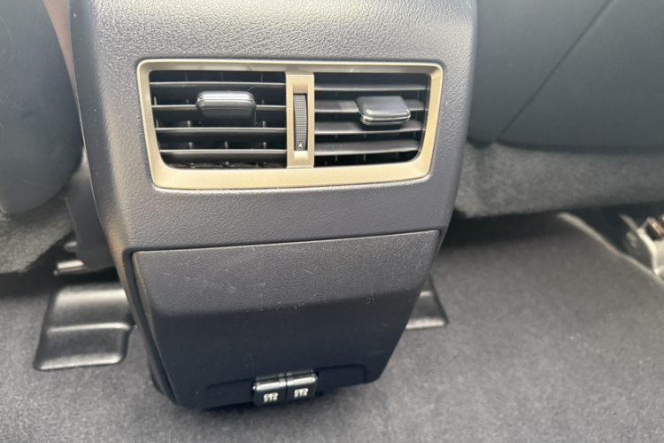 雷克萨斯RX 2020款 300 四驱典雅版 国VI局部细节19