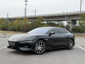 腾势Z9 2024款 1100km 四驱Max版