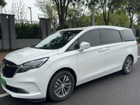 别克GL8 2021款 ES陆尊 653T 舒适型