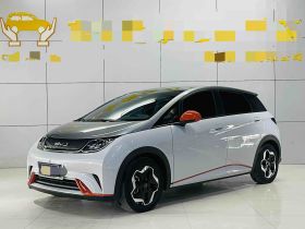 比亚迪 海豚 2021款 405km 时尚版