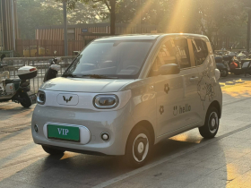 五菱汽车 宏光MINIEV 2024款 第三代 215km 青春版