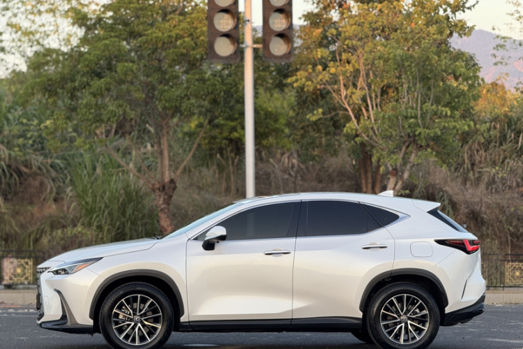 雷克萨斯NX 2022款 260 前驱 创悦版车身外观6007