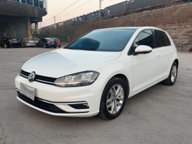 大众 高尔夫 2019款 1.6L 自动舒适型 国V