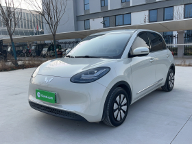 五菱汽车 五菱缤果 2023款 203km 舒享款