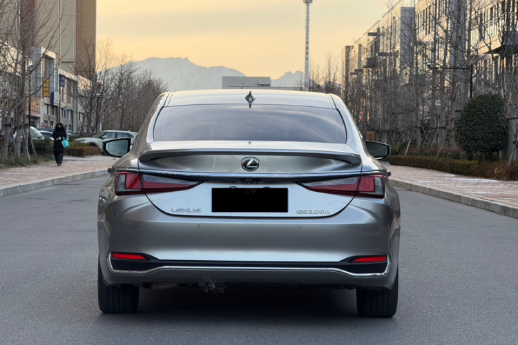 雷克萨斯ES 2022款 300h 卓越版车身外观6004