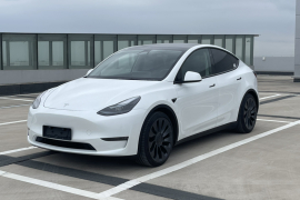 特斯拉 Model Y 2024款 Performance高性能版