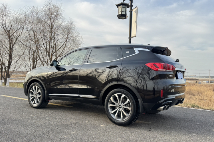 魏牌 VV6 2020款 2.0T 两驱智享+车身外观6003