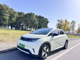 比亚迪 海豚 2023款 420km 时尚版