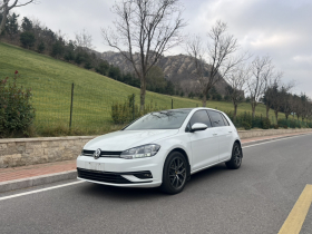 大众 高尔夫 2019款 280TSI DSG舒适型 国VI
