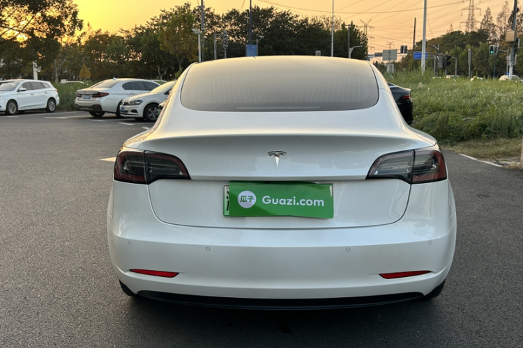 特斯拉 Model 3(进口) 2019款 长续航后驱版车身外观6010