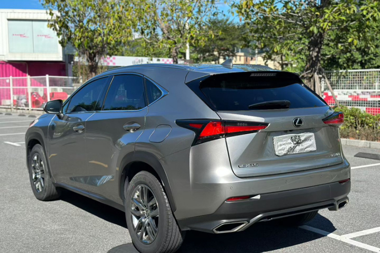 雷克萨斯NX 2018款 300 全驱 锋尚版车身外观6009