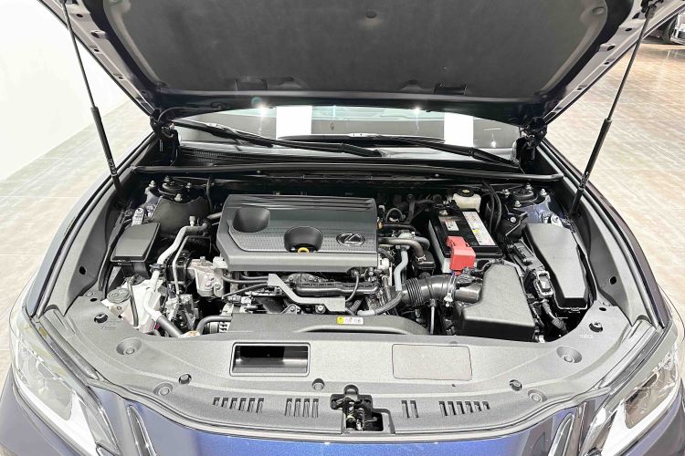 雷克萨斯ES 2022款 200 卓越版中控内饰7009