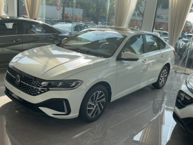 大众 朗逸 2024款 1.5L 自动星空五百万版