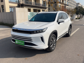 星途追风 2024款 1.5T CVT好事花生版