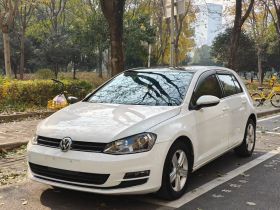 大众 高尔夫 2014款 1.4TSI 手动舒适型