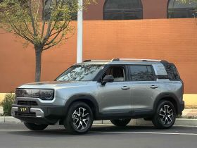 北京BJ30 2024款 1.5T 轻野Pro版