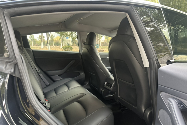 特斯拉 Model 3 2021款 标准续航后驱升级版中控内饰7002
