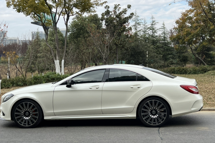 奔驰CLS 2015款 CLS 260车身外观6005