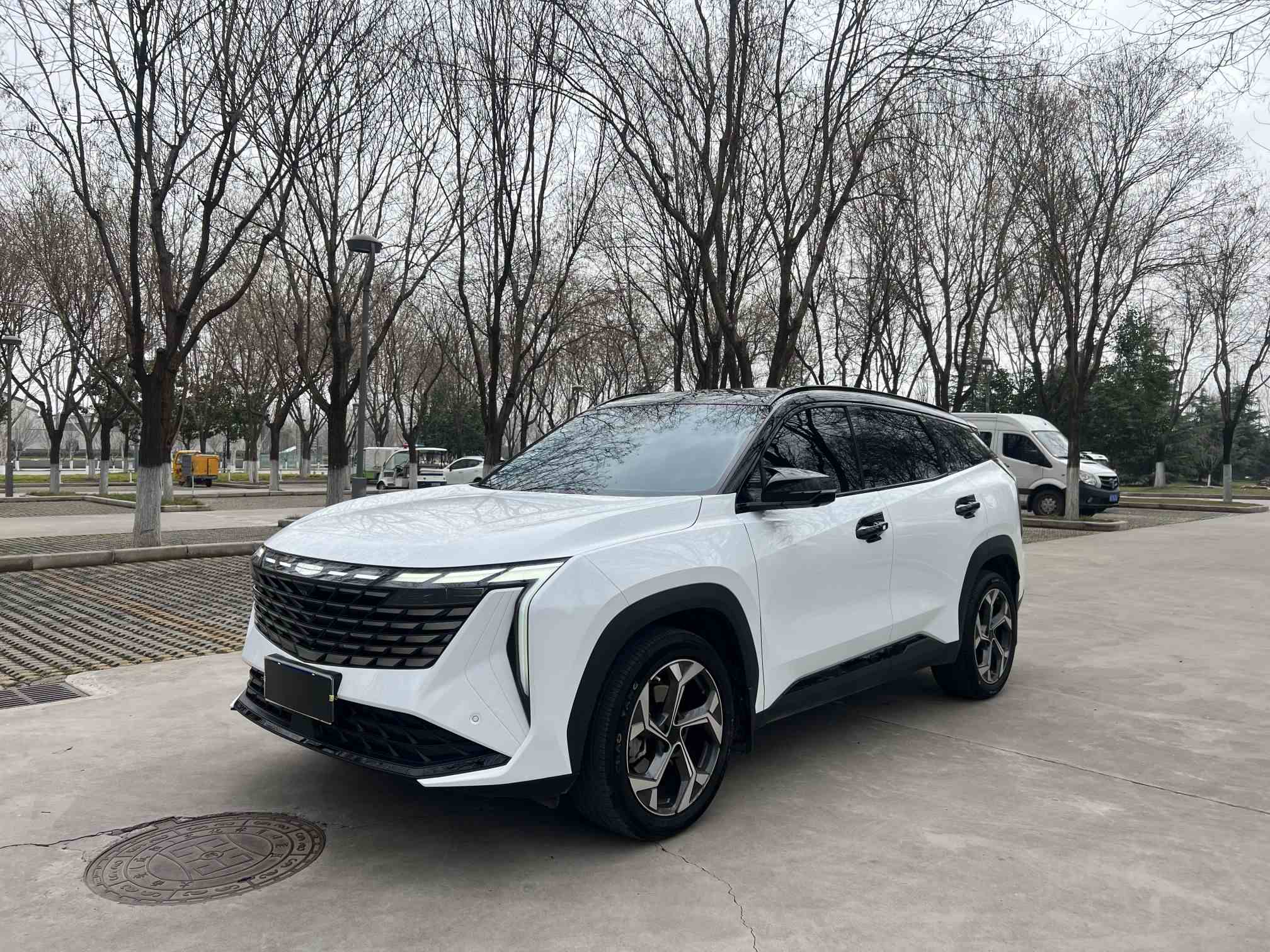 吉利汽车 博越L 2024款 1.5TD DCT尊贵版(1)