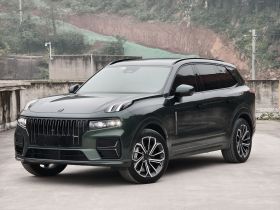 领克09 EM-P 2024款 2.0TD EM-P 四驱HALO 六座