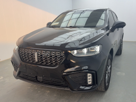 魏牌 VV5 2020款 1.5T 两驱智先锋