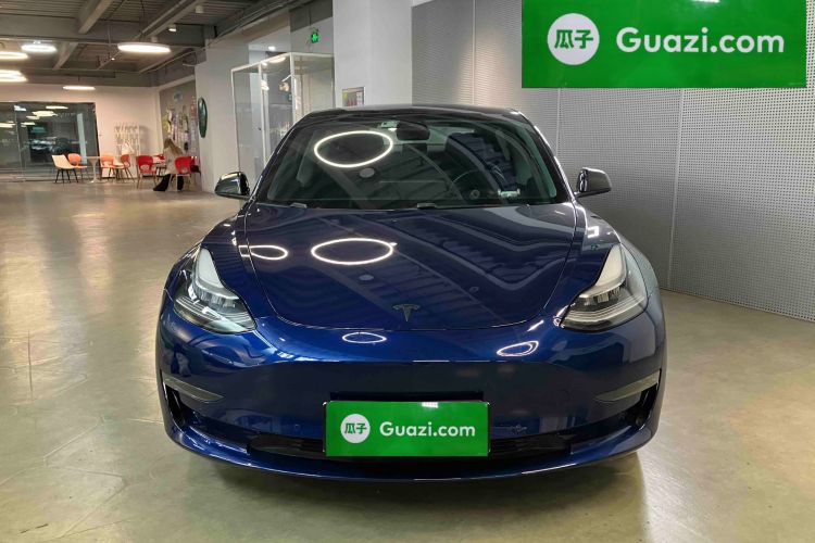 特斯拉 Model 3(进口) 2019款 长续航后驱版车身外观6002