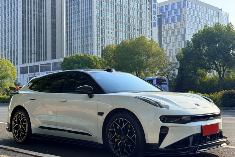 极氪001 2025款 WE版 100kWh 后驱车身外观6010