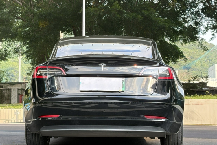 特斯拉 Model 3(进口) 2019款 长续航后驱版车身外观6004