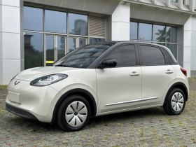 五菱汽车 五菱缤果 2023款 203km 轻享款