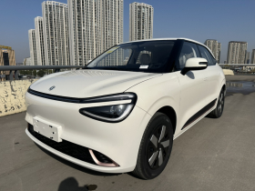 东风纳米 纳米01 2026款 初心款 330Air