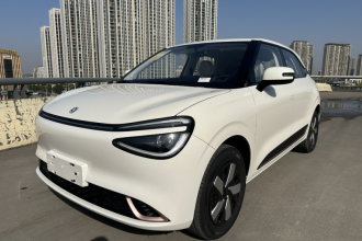 东风纳米 纳米01 2026款 初心款 330Air