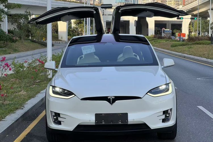 特斯拉 Model X 2019款 长续航版车身外观6006