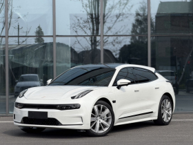 极氪001 2021款 长续航双电机 WE版