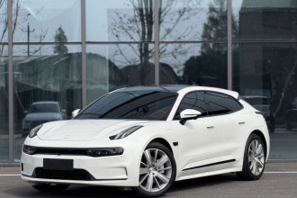 极氪001 2021款 长续航双电机 WE版