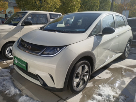 比亚迪 海豚 2025款 420km 自由版