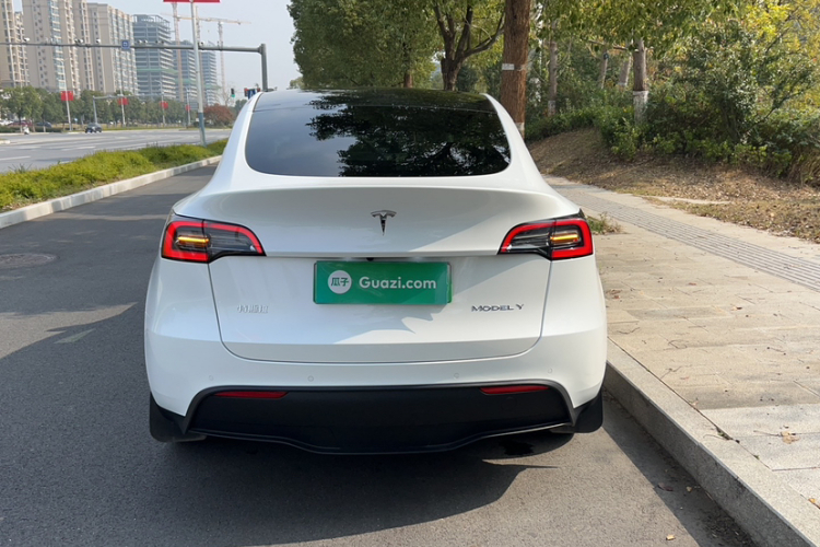 特斯拉 Model Y 2023款 后轮驱动版车身外观6005