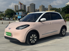 五菱汽车 五菱缤果 2023款 410km 灵犀尊享款