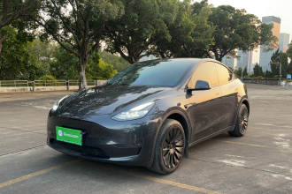 特斯拉 Model Y 2024款 长续航全轮驱动版