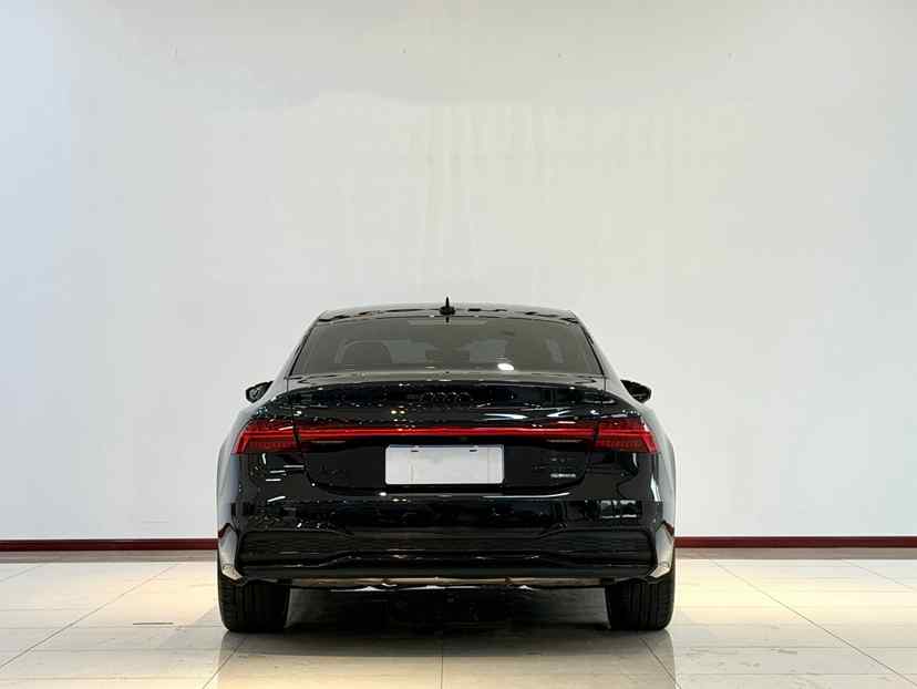 奥迪A7L 2023款 45 TFSI quattro S-line 黑武士版(5)