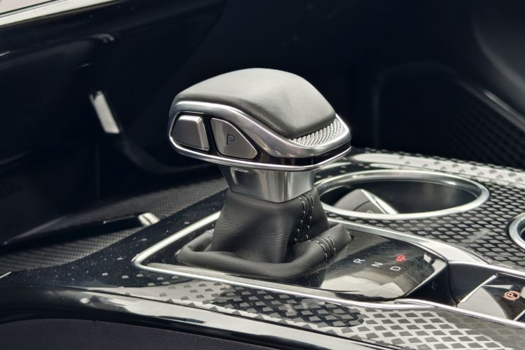 红旗HS3 PHEV 2024款 PHEV 115km 劲为版局部细节18