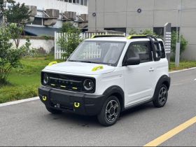 吉利银河 2025款 210km 熊猫骑士