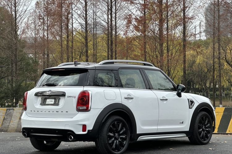 MINI Countryman 2018款 2.0T COOPER S ALL4 经典派车身外观6006