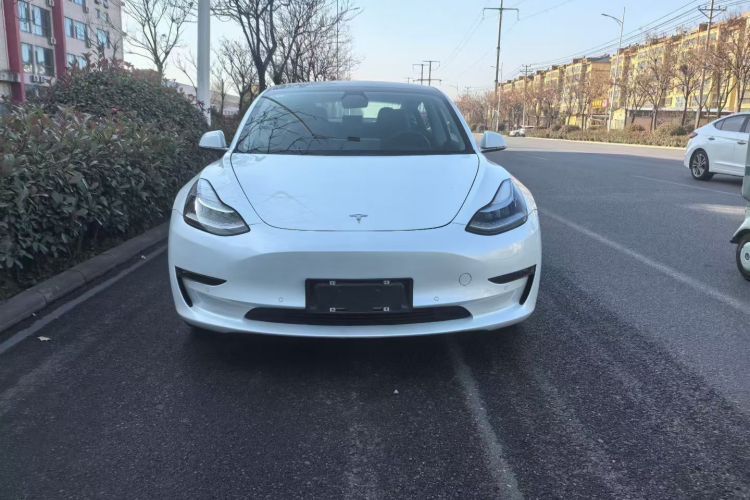 特斯拉 Model 3(进口) 2019款 长续航全轮驱动版车身外观6002