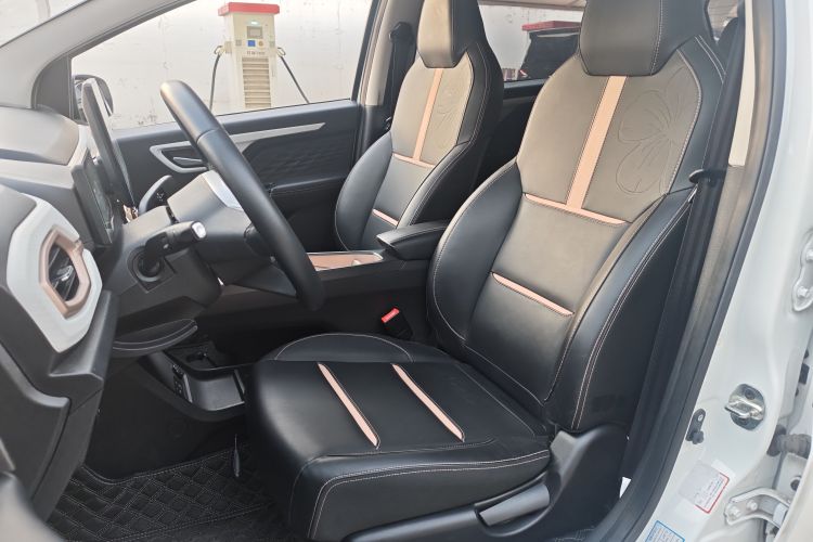 思皓 2022款 花仙子款 满天星中控内饰7002